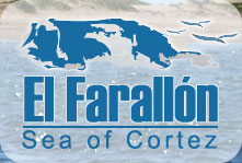 Farallon