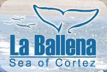 Ballena